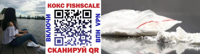 купить наркотики сайты  Томилино  COCAIN Fish Scale 
