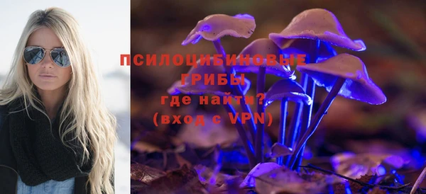 спайс Беломорск