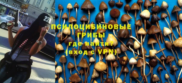 спайс Беломорск